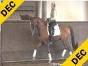 Rien Van Der Schaft<br>
Assisting<br>
Inge Van Der Schaft<br>
Oldenburg<br>
8 yrs. old Gelding<br>
Training: PSG Level<br>
Duration: 46 minutes
