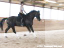 Day 2<br>
Hans Biss<br>
Assisting<br>
Jerry Lyons<br>
Laurentide Ice<br>
Hanoverian<br>
Lehncritter<br>
12 yrs. old Gelding<br>
Training: 1st Level<br>
Owner: Jerry Lyons<br>
Duration: 41 minutes
