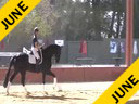 USDF<br>
West Coast Trainers Conference<br>
Stephen Clarke<br>
Assisting<br>
Sarah Lockman<br>
Floriana B.<br>
6 yrs. Old Mare<br>
KWPN<br>
Owner: Jae Chaney<br>
Duration: 31 minutes