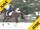 Charles De Kunffy<br>
Assisting<br>
Teresa Simmons<br>
Rockstar<br>
14 yrs. Old Oldenburg Mare<br>
Training: PSG<br>
Duration: 36 minutes
