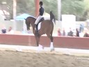 USDF<br>
West Coast Trainers Conference<br>
Stephen Clarke<br>
Assisting<br>
Charlotte Bredahl<br>
Hamilton<br>
6 yrs. Old Gelding<br>
Danish Warmblood<br>
by: Glocks Romaniv<br>
Duration: 29 minutes
