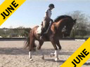 Charles De Kunffy<br>
Assisting<br>
Cassie Schmidt<br>
Valencio<br>
13 yrs. Old Dutch  Gelding<br>
Training: FEI  Juniors 3rd Level<br>
Owner:  Cassie Schmidt<br>
Duration: 34 minutes
