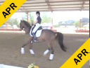 USDF<br>
West Coast Trainers Conference<br>
Stephen Clarke<br>
Assisting<br>
Jan Ebeling<br>
Breitan<br>
11 yrs. Old Stallion<br>
Hanoverian<br>
by: Breitling<br>
Owner: Rob Rom LLC<br>
Duration: 15 minutes
