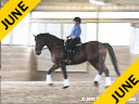 Hans Biss<br>
Assisting<br>
Amy Allen<br>
Cavalieri<br>
Hanovarian<br>
9 yrs. old Gelding<br>
Training: 2nd Level<br>
Owner: Amy Allen<br>
Duration: 19 minutes
