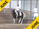 Day 2<br>
Hans Biss<br>
Assisting<br>
Siri Bezdicek<br>
Quigley<br>
Irish Sport Horse<br>
10 yrs. old Gelding<br>
Training: Training Level<br>
Owner: Ellen Ruckert<br>
Duration: 48 minutes
