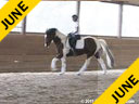 Hans Biss<br>
Assisting<br>
Siri Bezdicek<br>
Quigley<br>
Irish Sport Horse<br>
10 yrs. old Gelding<br>
Training: Training Level<br>
Owner: Ellen Ruckert<br>
Duration: 41 minutes
