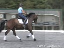 Shannon Dueck<br>
Riding & Lecturing<br>
Zorro<br>
KWPN<br>
6 yrs. old Gelding<br>
Training: 1st Level<br>
Owner: Jean Klaucke<br>
Duration: 29 minutes
