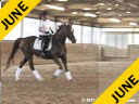 Hans Biss<br>
Assisting<br>
Jody Haymond<br>
Kelstar<br>
18 yrs. old Mare<br>
Training: 1st Level<br>
Owner: Jody Haymond<br>
Duration: 33 minutes
