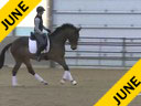 IDCTA Illinios Dressage & Combined Training Association<br>
Lilo Fore<br>
Assisting<br>
Heather McCarthy<br>
Saphira<br>
Training: I1-I2<br>
Duration: 41 minutes
