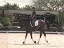 Charles De Kunffy<br>
Assisting<br>
Teresa Simmons<br>
Rockstar<br>
14 yrs. Old Oldenburg Mare<br>
Training: PSG<br>
Duration: 30 minutes
