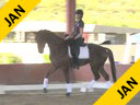 USDF<br>
West Coast Trainers Conference<br>
Stephen Clarke<br>
Assisting<br>
Cyndi Jackson<br>
Sir Amour<br>
5 yrs. Old Gelding<br>
Hanoverian<br>
Owner: Schuttler Stables LLC<br>
Duration: 30 minutes
