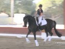 USDF<br>
West Coast Trainers Conference<br>
Stephen Clarke<br>
Assisting<br>
Sarah Lockman<br>
Floriana B.<br>
6 yrs. Old Mare<br>
KWPN<br>
Owner: Jae Chaney<br>
Duration: 38 minutes
