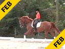 Shannon Dueck<br>Assisting<br>Debbie Hilton<br>Divine<br>Hanoverian Thoroughbred<br>13 yrs. old Mare<br>Training: First Level<br>Duration: 53 minutes