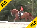 Shannon Dueck<br>Assisting<br>Debbie Hilton<br>Divine<br>Hanoverian Thoroughbred<br>13 yrs. old Mare<br>Training: First Level<br>Duration: 53 minutes