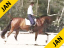 Shanon Dueck<br>Riding & Lecturing<br>Martini<br>One Year Under Saddle<br>Hanovarian<br>5 yrs old Gelding<br>Training: Level 1<br>Duration: 38 minutes