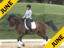 Elizabeth Ball<br>
Riding & Lecturing<br>
Prince Pablo<br>
Warmblood Gelding<br>
14 yrs. old<br> 
Training: PSG Level<br>
Owner: Eckstein Farm<br>
Duration: 42 minutes