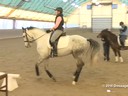 IDCTA Illinios Dressage & Combined Training Association<br>
Lilo Fore<br>
Assisting<br>
Andi Patzwald<br>
Bellini<br>
Training:2nd Level<br>
Duration: 29 minutes
