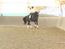 IDCTA Illinios Dressage & Combined Training Association<br>
Lilo Fore<br>
Assisting<br>
Andi Patzwald<br>
Bellini<br>
Training: 2nd Level<br>
Duration: 34 minutes
