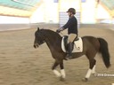 IDCTA Illinios Dressage & Combined Training Association<br>
Lilo Fore<br>
Assisting<br>
Amanda Johnson<br>
Dullineya<br>
Mare<br>
Duration: 38 minutes
