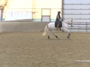 Jessie Steiner<br>
Riding & Lecturing<br>
Quinto<br>
5 yrs. old  Gelding<br>
Hanoverian<br>
Training:  1st Level
Owner:  Jessie Steiner<br>
Duration: 35 minutes

