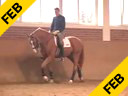 Rudolf Zeilinger<br>Riding & Lecturing<br>Priboy<br>Westphalian<br>6 yrs. old Gelding<br>Training: 4th Level<br>Duration: 23 minutes