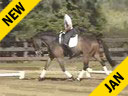 USDF APPROVED<br>
University Accreditation<br>
Steffen Peters<br>
Riding & Lecturing<br>
Lombardi<br>
15 yrs. old Holsteiner Gelding<br>
Training: Grand Prix<br>
Del Mar, California<br>
Duration: 42 minuets