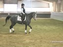 IDCTA Illinois Dressage & Combined Training Association<br>
George Williams<br>
Assisting<br>
Alya Saddique<br>
Bolero JS<br>
10 yrs. Old  Gelding<br>
Lusitano<br>
Training: 4th Level<br>
Duration: 48 minutes
