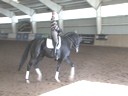 NEDA Fall Symposium<br>Day 3<br>Hubertus Schmidt<br>Riding & Lecturing<br>Donnertanz<br>11 yrs. old<br>Hanoverian Gelding<br>Owner: Ellen Sullivan<br>Training: Prix St. George<br>Duration: 32 minutes