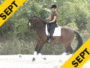 Conrad Schumacher<br>
Assisting<br>
Dorie Addy-Crow<br>
Sakramenter<br>
Oldenburg<br>
by: Samaranto<br>
4 yrs. old Gelding<br>
Training: 1st Level Warming<br>
Duration: 20 minutes
