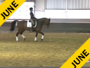 IDCTA Illinios Dressage & Combined Training Association<br>
Lilo Fore<br>
Assisting<br>
Kerry Johnson<br>
Red Fish Blue Fish<br>
Training: 4th Level<br>
Duration: 38 minutes

