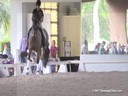 USDF Trainers Conference<br>
Lilo Fore &<br>
Christian Matthiesen<br>
Assisting<br>
Debbie Hill<br>
Cartier<br>
Dutch<br>
9 yrs. Old Gelding<br>
Owner: Robbie Rice<br>
Training: FEI Level<br>
Duration: 35 minutes

