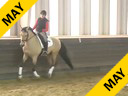 IDCTA Illinois Dressage & Combined Training Association<br>
George Williams<br>
Assisting<br>
Amy Grahn<br>
Zabaco<br>
11 yrs. Old  Gelding<br>
Dutch Warmblood<br>
Training: I2<br>
Duration: 50 minutes
