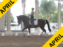 IDCTA Illinois Dressage & Combined Training Association<br>
George Williams<br>
Assisting<br>
Amanda Johnson<br>
Pluto VI<br>
14 yrs. Old  Lipizzan Stallion<br>
Andorella<br>
Training: GP<br>
Duration: 38 minutes
