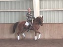 Available on DVD No.2<br>NEDA Fall Symposium<br>Day 3<br>Hurbertus Schmidt<br>
Riding and Lecturing<br>
Fanale<br>
13 yrs. old Mare<br>
Hanoverian<br>
Owner: Susan Springsteen<br>
Training: Intermediaire 1<br>
Duration: 49 minutes