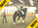 Johann Rockx<br>Training the Passage<br>with a variety<br>of horses in hand<br>and on horseback.<br>Duration: 45 minutes