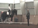 NEDA Fall Symposium<br>Day 2<br>Available on DVD No.6<br>Hubertus Schmidt<br>
Assisting<br>
Micaela Mabragana<br>
Granada<br>
14 yrs. old Gelding<br>
Swedish<br>
Owner: Sam Grunkorn<br>
Training: Intermediaire<br>Duration:24 minutes