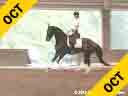 Day 1<br>
Guenter Seidel<br>
Assisting<br>
Phyllis Sumner<br>
Don Zamora<br>
Dutch Warmblood<br>
8 yrs. old KWPN<br>
Training: 4th Level PSG<br>
Duration: 49 minutes
