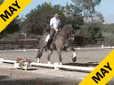 USDF APPROVED<br>
University Accreditation<br>
Steffen Peters<br>
Riding & Lecturing<br>
Lombardi<br>
11 yrs. old Gelding<br>
Holsteiner<br>
Owner: Peggy & Fred Furth<br>
Training: GP Level<br>
Duration: 35 minutes