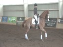 NEDA Fall Symposium<br>Day 2<br>
Available on DVD No.6<br>Hubertus Schmidt<br>
Assisting<br>
Micaela Mabragana<br>
Granada<br>
14 yrs. old Gelding<br>
Swedish<br>
Owner: Sam Grunkorn<br>
Training: Intermediaire<br>Duration: 24 minutes