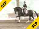 Guenter Seidel<br>
Assisting<br>
Maria Hallet<br>
Cobalt<br>
German Oldenburg<br>
10 yrs. old Gelding<br>
Training: PSG/I-1<br>
Duration: 27 minutes
