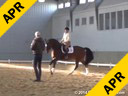 Day 2<br>
Jan Brink<br>
Assisting<br>
Robin Matteson<br>
Eye Candy<br>
14 yrs. Old Hanoverian<br>
16th schooling I-1<br>
Owner: Robin Matteson<br>
Training: PSG/I1<br>
Duration: 43 minutes
