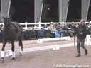 PRCS Professional Riders Clinic Symposium<br>Bo Jena<br>A Lecture<br>and Demonstration on<br>Long Lining<br>The Dressage Horse<br>Jim Brandon<br>Equestrian Center<br>Wellington Florida<br>Duration: 47 minutes