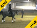 IDCTA Illinois Dressage & Combined Training Association<br>
George Williams<br>
Assisting<br>
Alya Saddique<br>
Bolero JS<br>
10 yrs. Old  Gelding<br>
Lusitano<br>
Training: 4th Level<br>
Duration: 45 minutes
