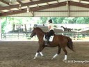 Day 1<br>
Felicitas Von Neumann<br>
Assisting<br>
Dana Ferguson<br>
Divinity<br>
10 yrs. Old Hanoverian/QH Cross<br>
Training: 1st Level<br>
Duration: 28 minutes
