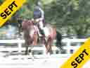 Anne Gribbons<br>
Assisting<br>
Cristi Meyers<br>
Rose<br>
12 yrs. Old  Mare<br>
KWPN<br>
by: Gribaldi<br>
Training: PSG/I1<br>
Duration: 41 minutes
