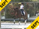 Betsy Steiner<br>
Assisting<br>
Lisa Ferguson<br>
Calon<br>
Welsh Sport Horse<br>
6 yrs. old Gelding<br>
Training: 2nd Level<br>
Owner: Lisa Ferguson<br>
Duration: 34 minutes
