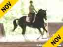 Day 1<br>
Jan Brink<br>
Assisting<br>
Courtnay  Fraser<br>
Birkegardens Lukas<br>
Danish WB<br>
by: Leendert<br>
11 yrs. old Gelding<br>
Training: PSG/I1<br>
Owner: Coyrtnay Fraser<br>
Duration: 40 minutes
