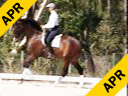Shannon Dueck<br>
Riding & Lecturing<br>
Otharr<br>
KWPN 10 yrs. old<br>
Training: Grand Prix<br>
Duration: 41 minutes