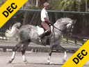 USDF APPROVED<br>University Accreditation<br>George Williams<br>Riding & Lecturing<br>Devon<br>7 yrs. old Gelding<br>Westfalen<br>Training: 4th Level<br>Duration: 39 minutes