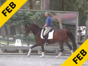 USDF APPROVED<br>University Accreditation<br>George Williams<br>Riding & Lecturing<br>Favore<br>Westfalen<br>8 yrs. old Gelding<br>Training: 3rd Level<br>Duration: 36 minutes